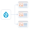 The module then uses Drupal hooks to insert the markup to the page near real-time on-page load.